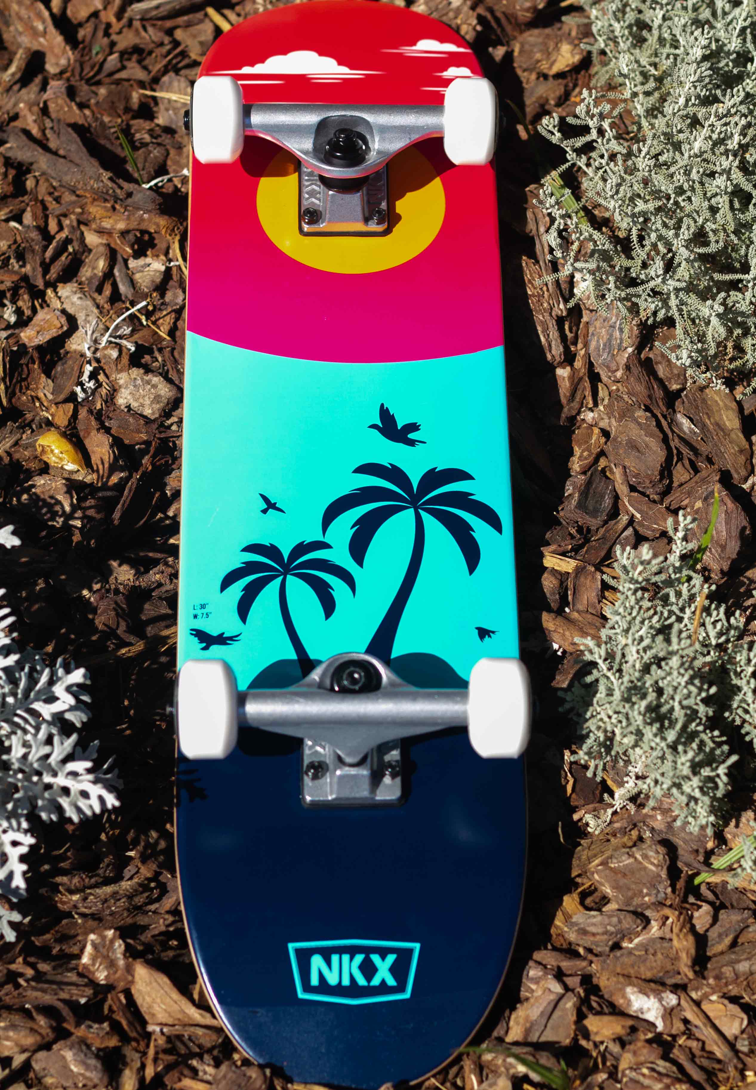 NKX Skateboard 7.5"