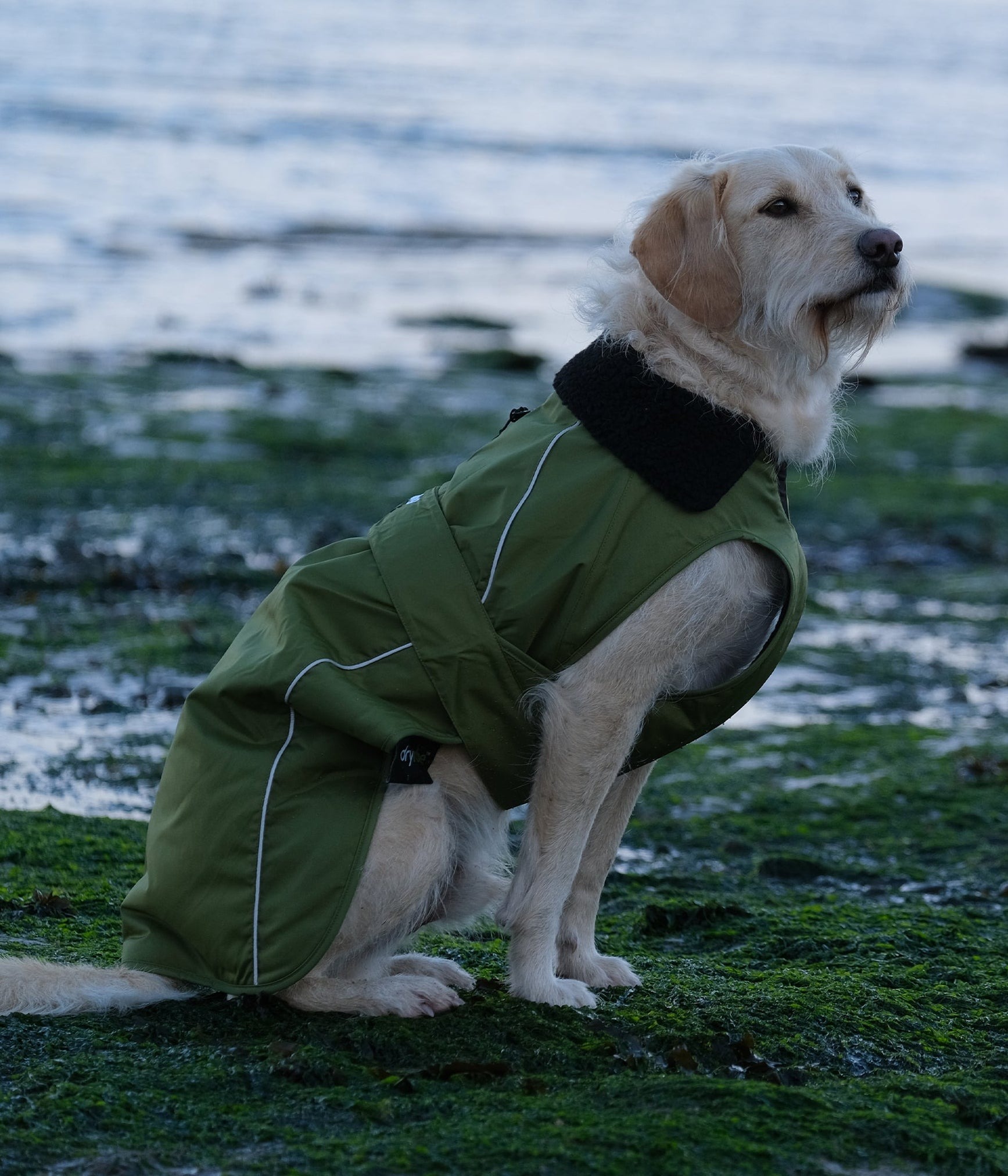 Dryrobe® Pro Pasji Kaput
