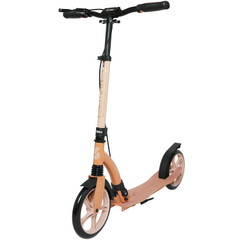 Story CityCruiser romobil za transport