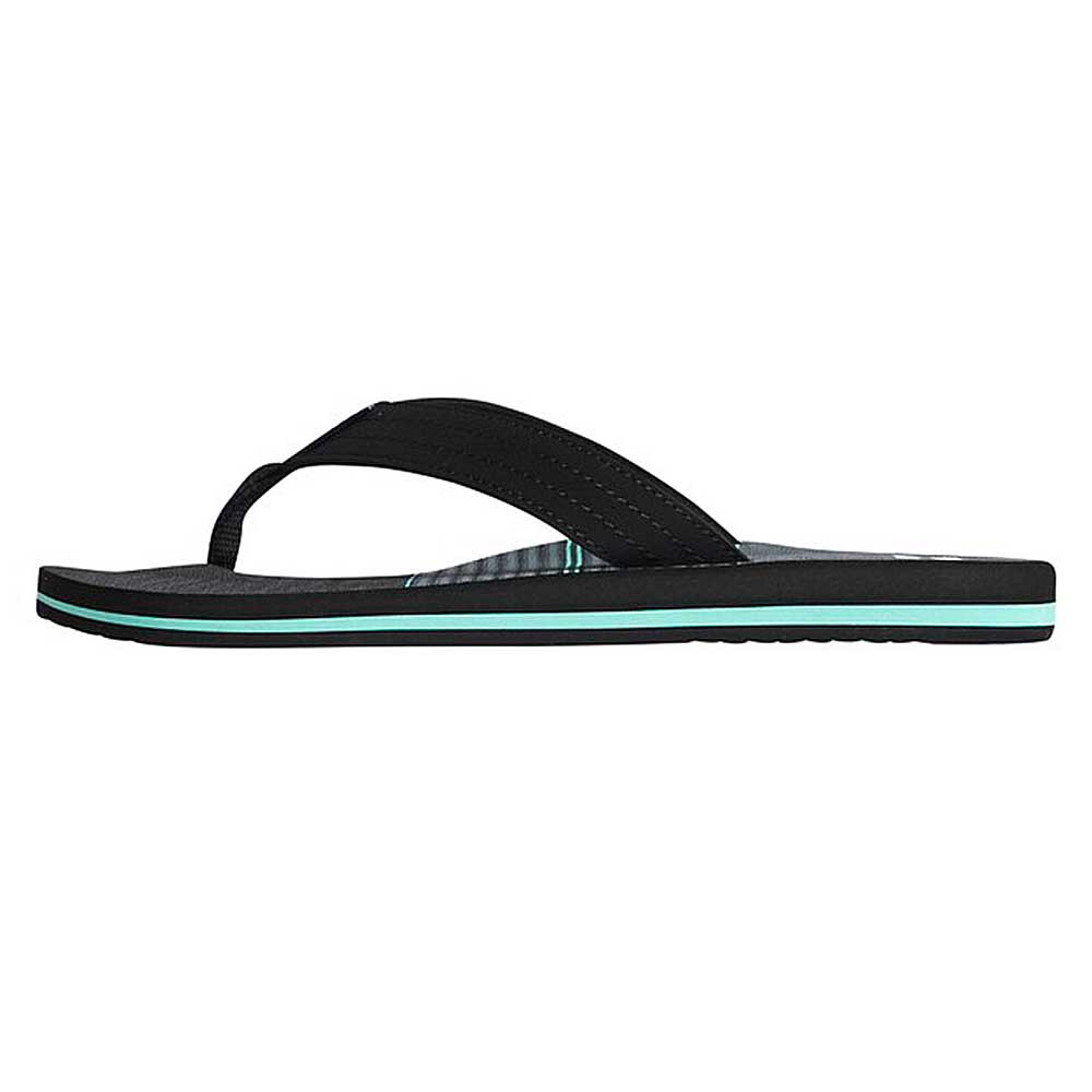 Billabong All Day Theme japanke