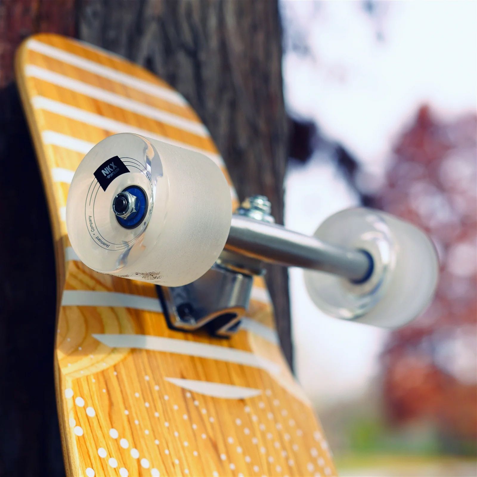 NKX Vegas Plesni Longboard